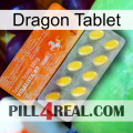 Dragon Tablet new05